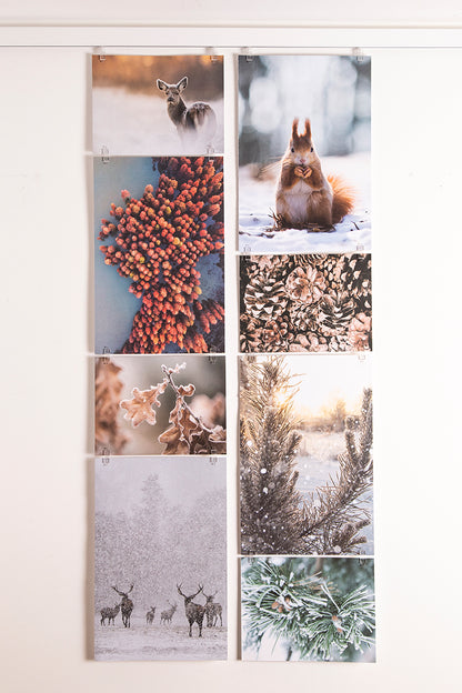 STAS picture hits ideal para hogares y oficinas.