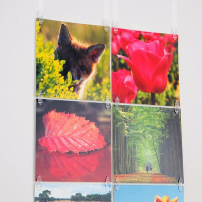 STAS picture hits soporte seguro para cartas.