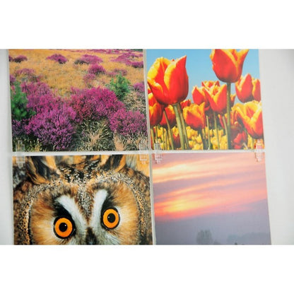 STAS picture hits sistema rápido para decoración.